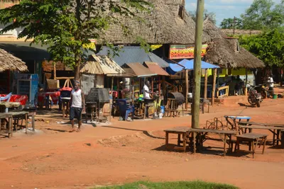 DSC_9695 (Large).JPG